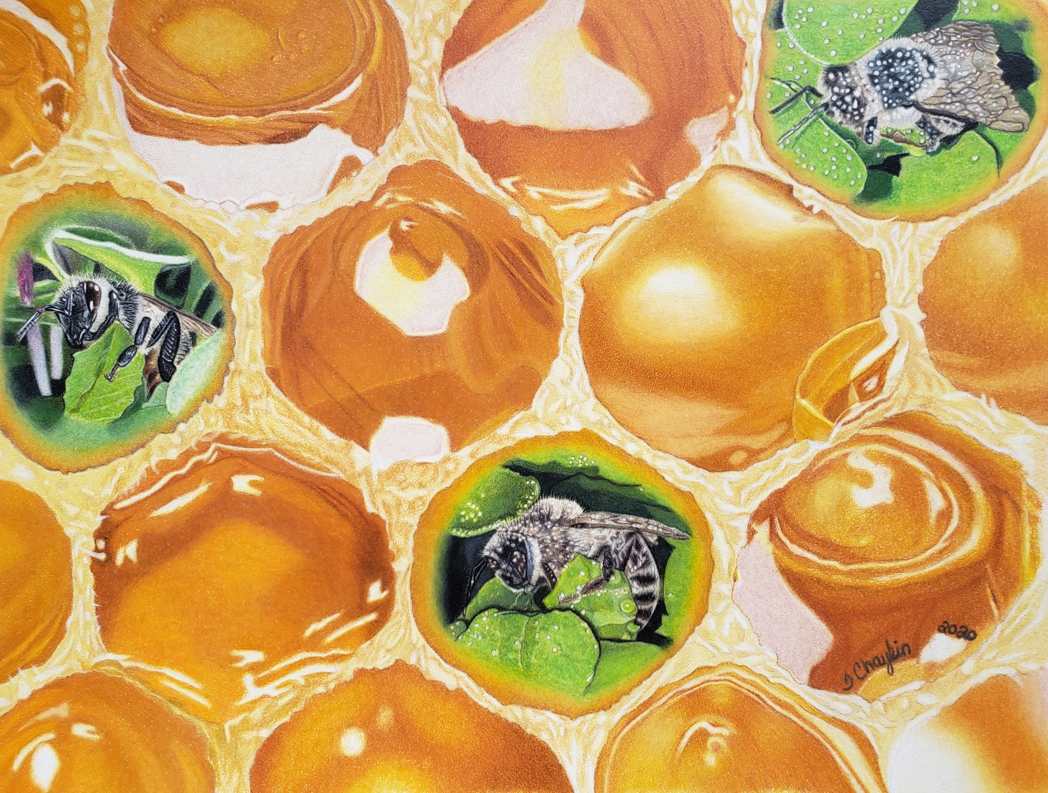 Bees move among luminous honeycomb cells, some opening onto vivid green leaves, in Tracey Chaykin’s Sanctuary.